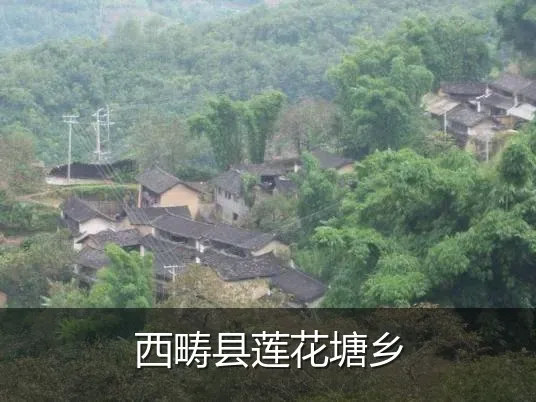西畴县莲花塘乡